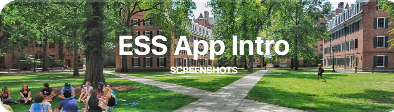 App intro rectangle